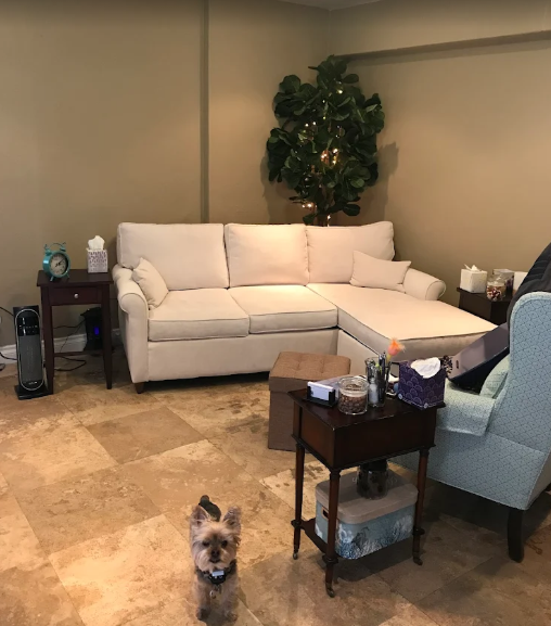 Comfortable therapy office interior