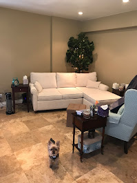 Arolyn Burns Office Waiting Area